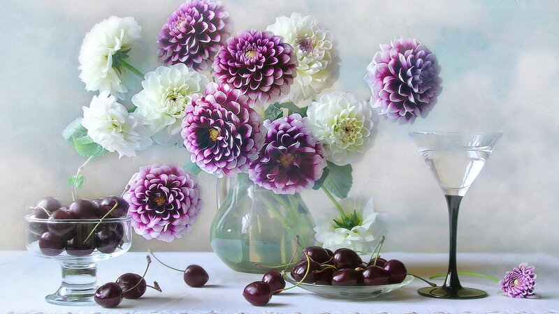 Dahlias and Cherries — Purple