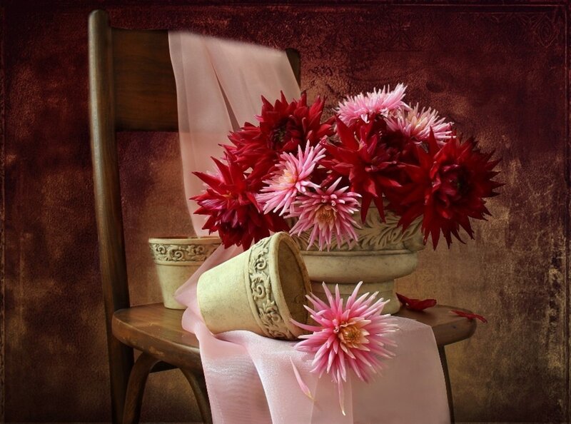 Dahlias in a Vase