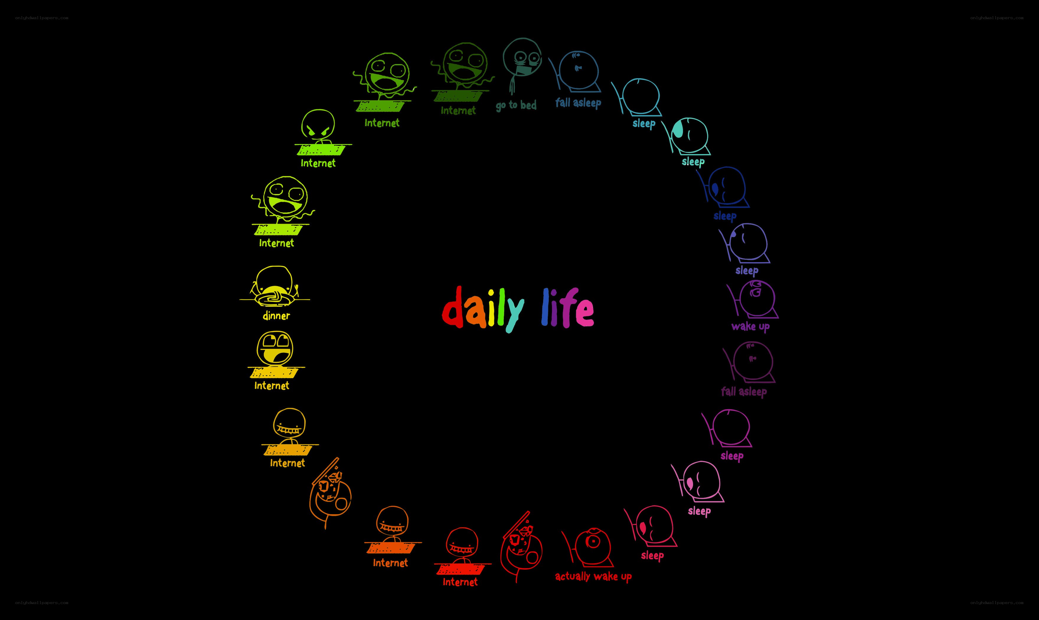 daily life cycle