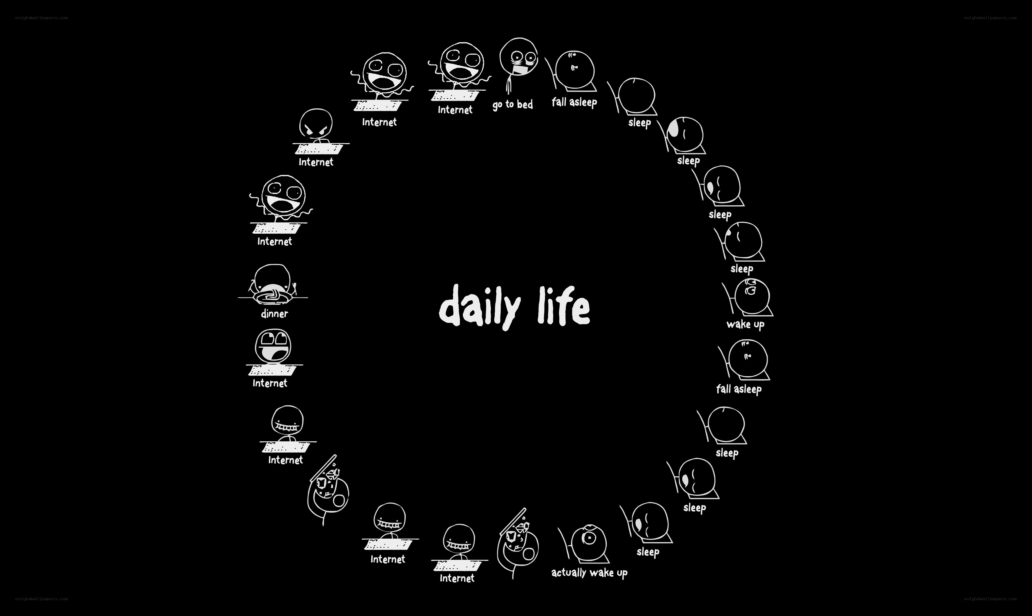 daily life cycle