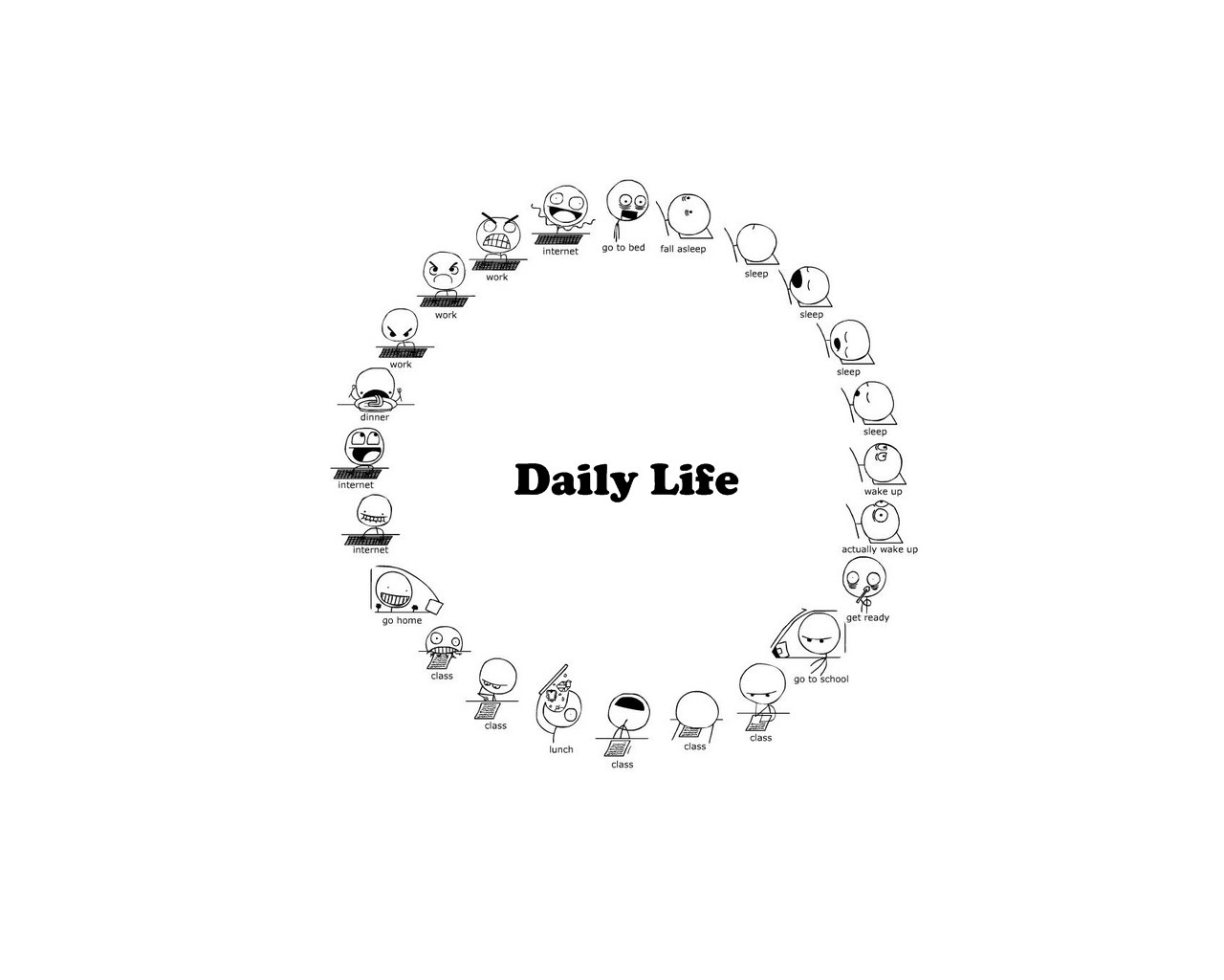 Daily Life Cycle