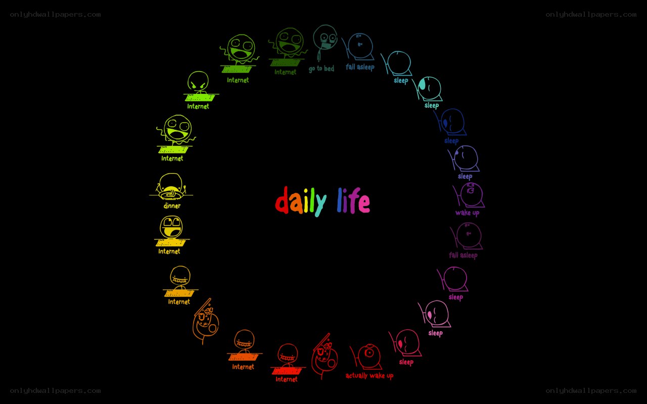 daily life cycle