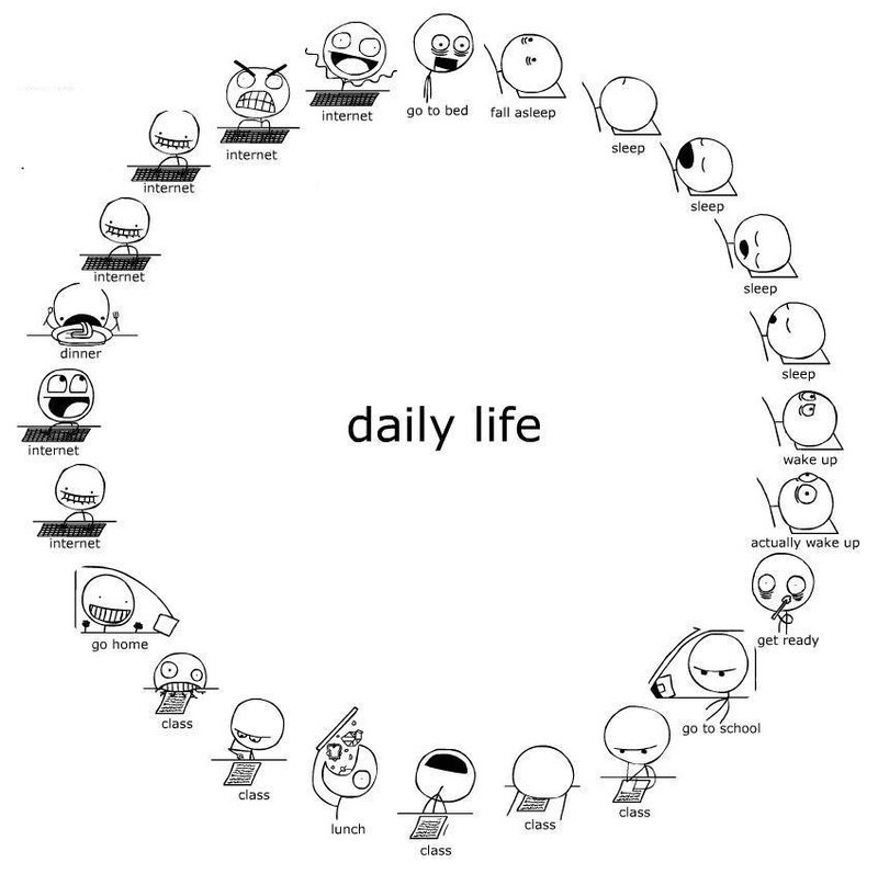 Daily Life Cycle — Black, Humorous, Comic, Internet