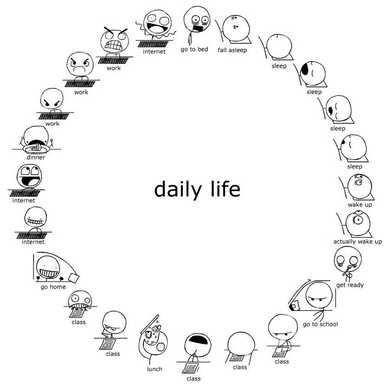 Daily Life Cycle — Black
