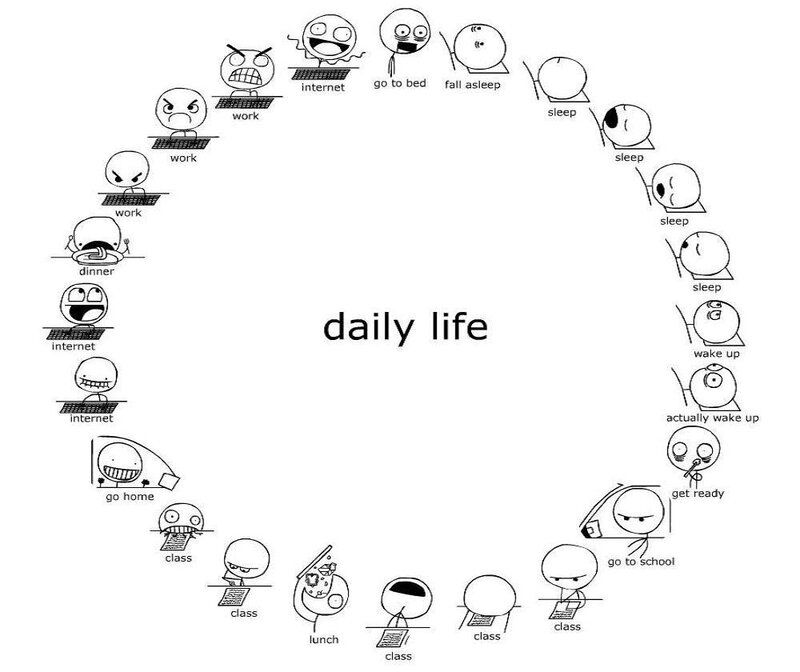 daily life cycle diagram