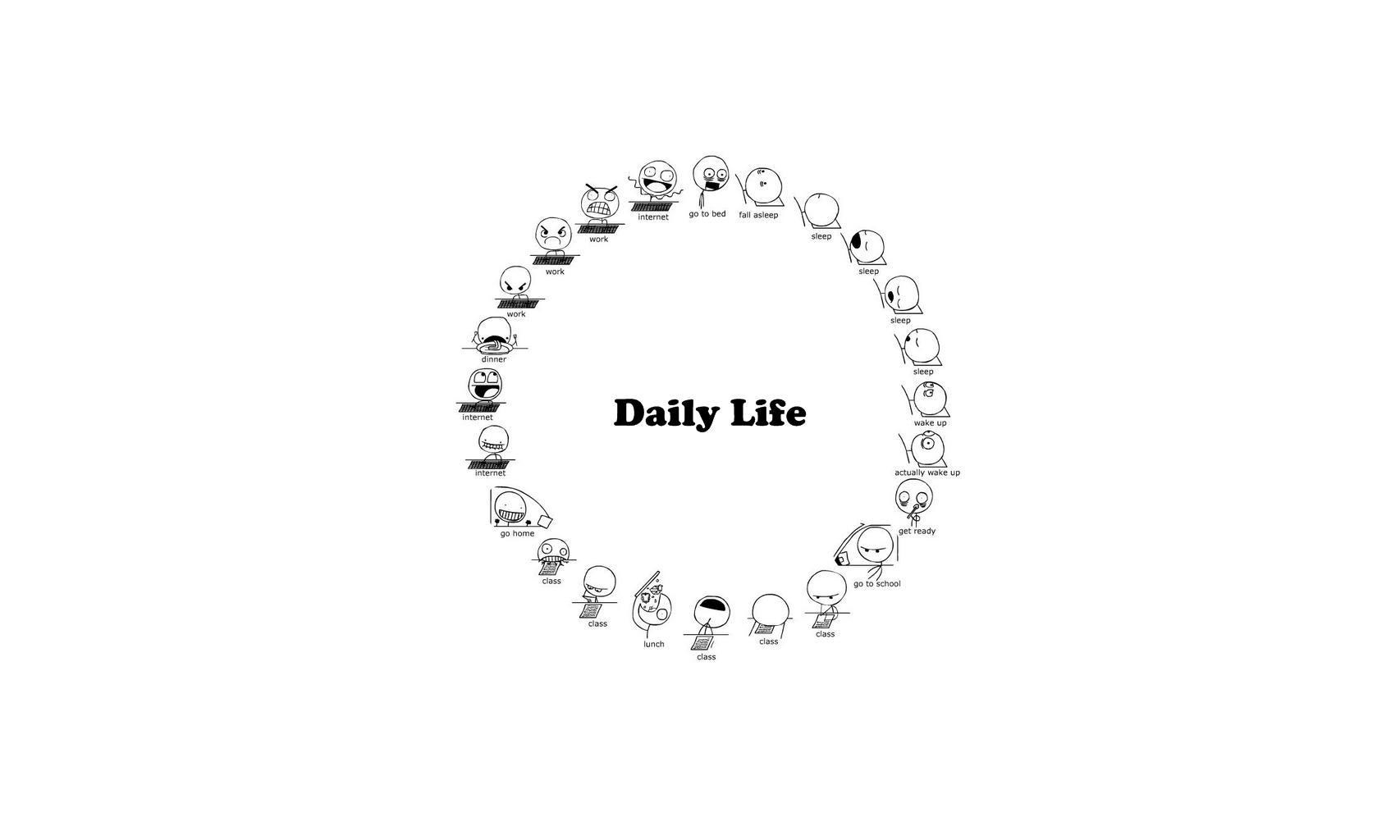 daily life cycle diagram
