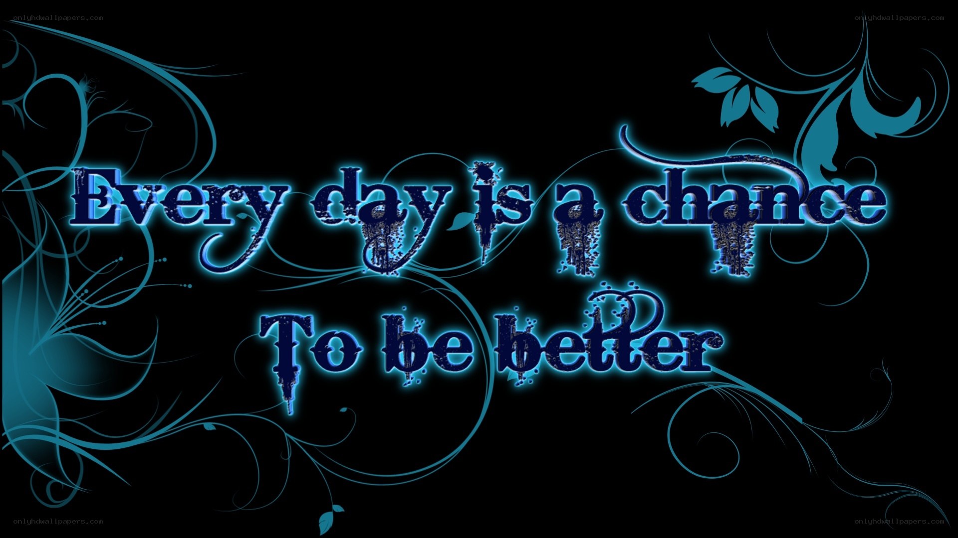 daily motivation quote