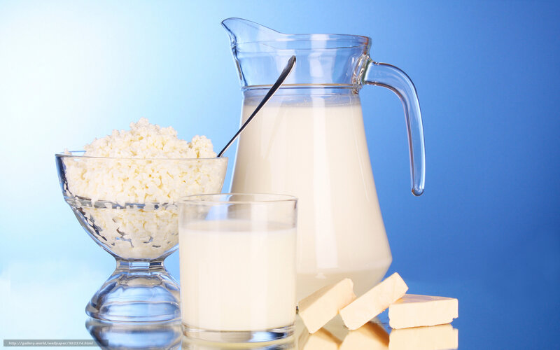 Dairy Products on Blue — Clean