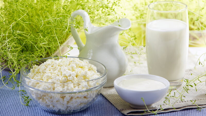 Dairy Products on Table — Green