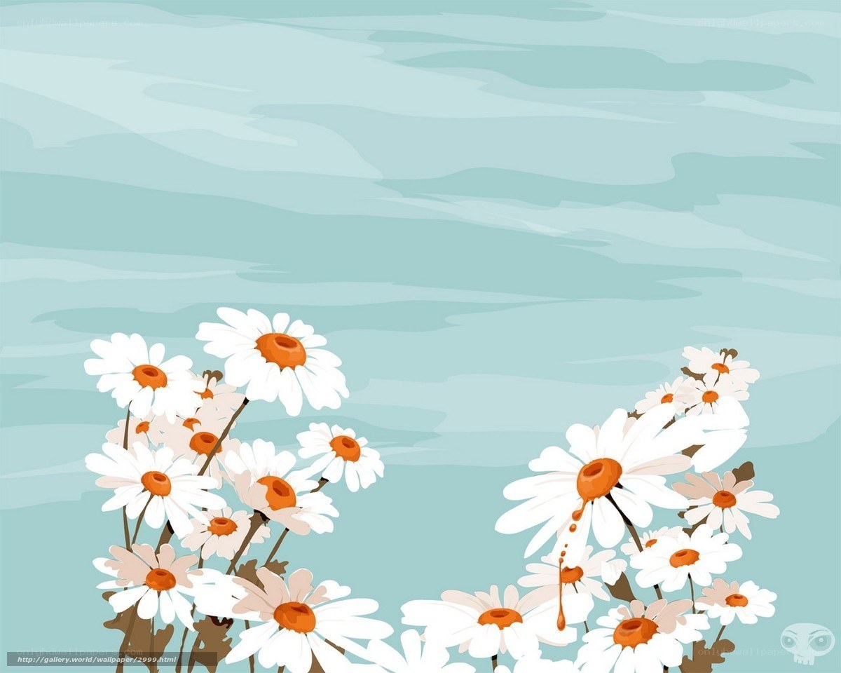 daisies against blue sky