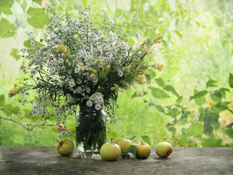 Daisies and Apples
