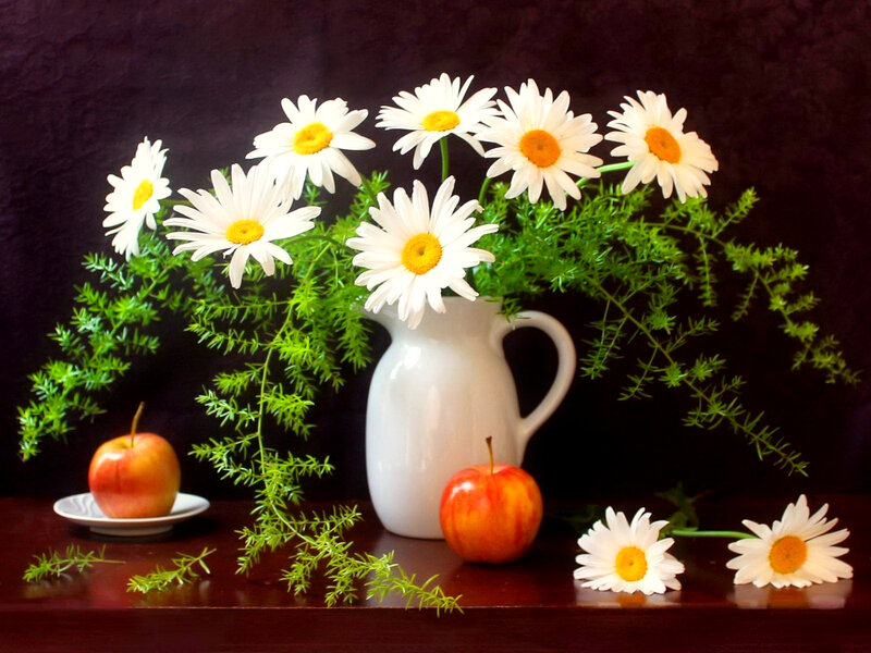 Daisies and Apples — White, Calm