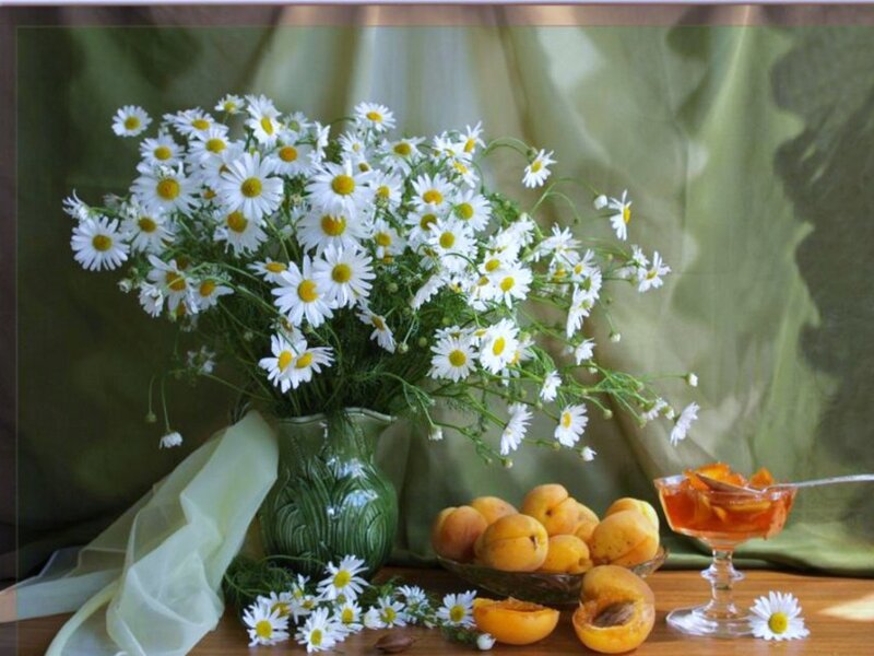 Daisies and Apricots