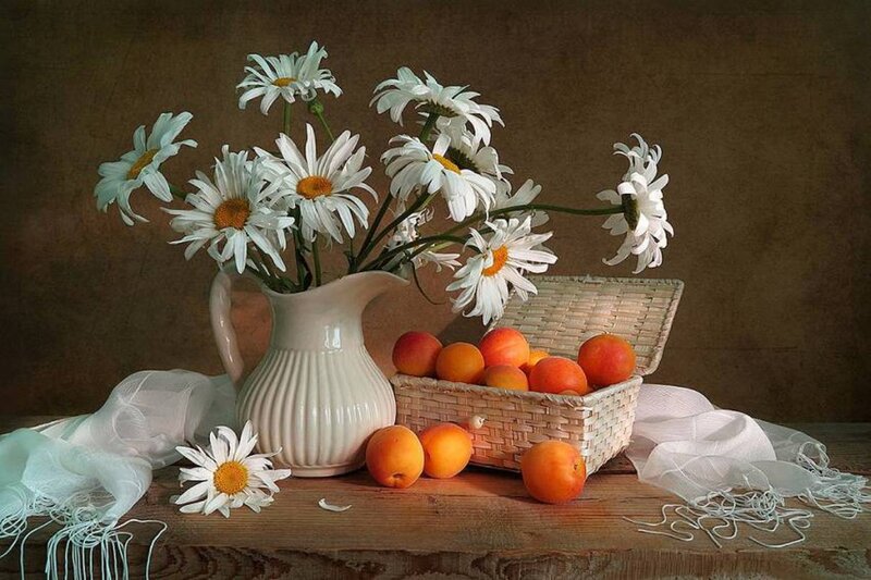 Daisies and Apricots — White, Serene