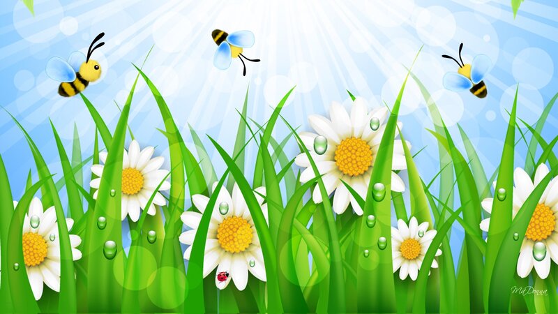 Daisies and Bees in Grass