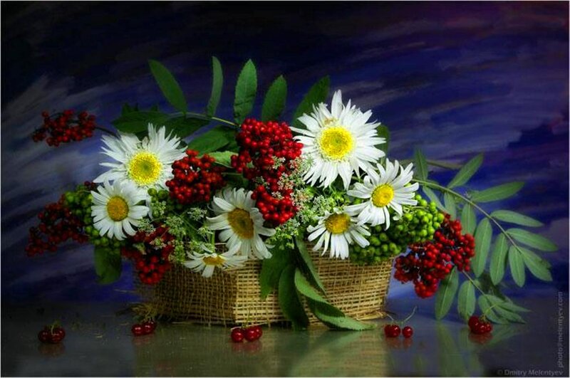 Daisies and Berries in Basket