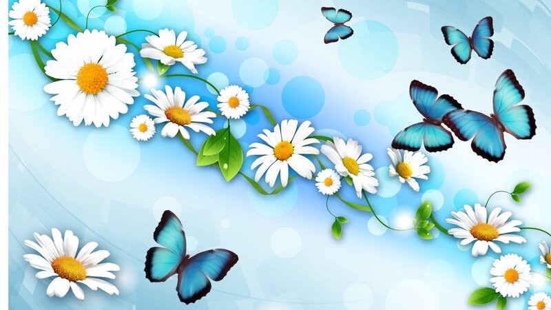 Daisies and Blue Butterflies