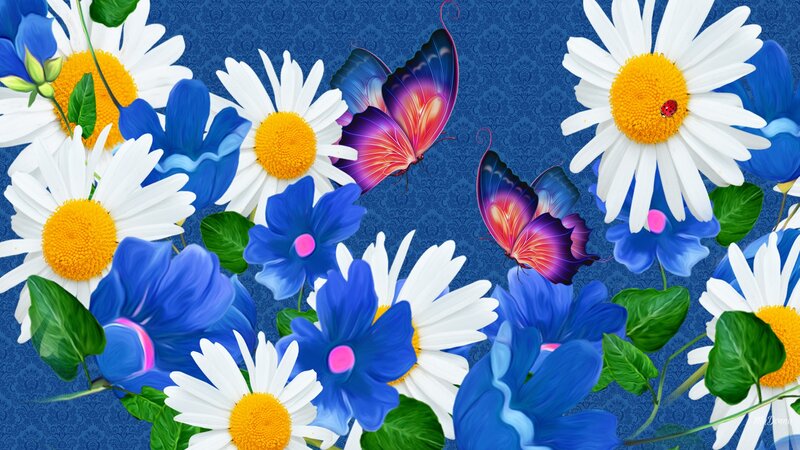 Daisies and Blue Flowers — Vibrant