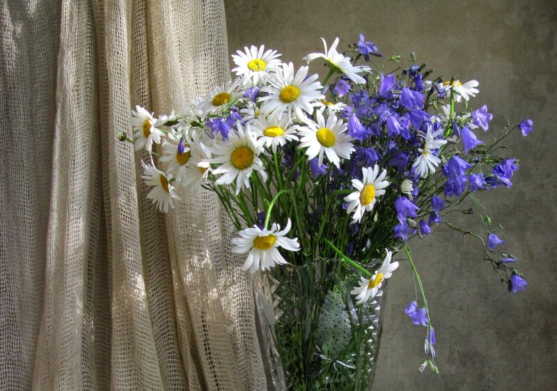 Daisies and Bluebells in Vase