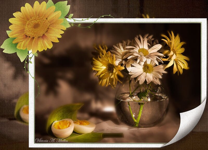 Daisies and Boiled Eggs