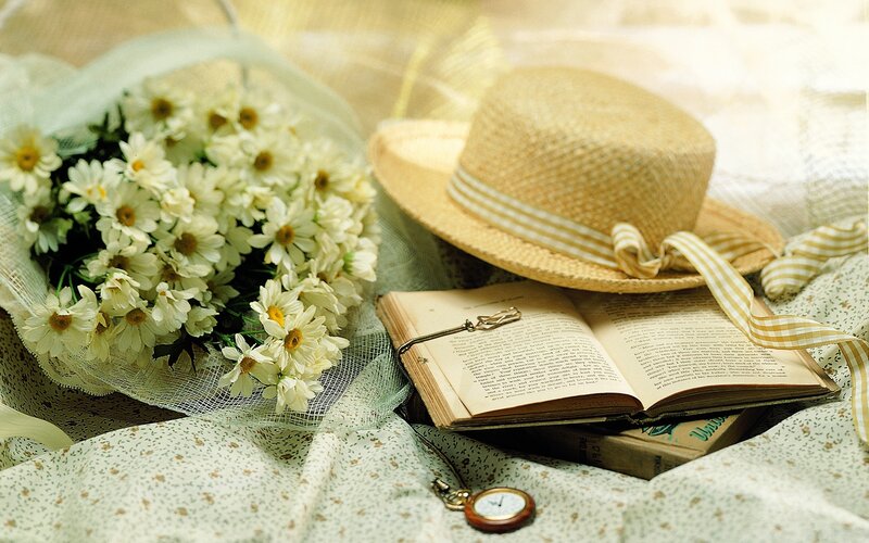 daisies and book on blanket