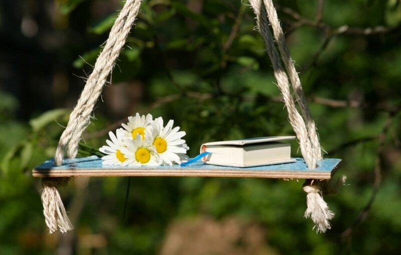 Daisies and Book on Swing