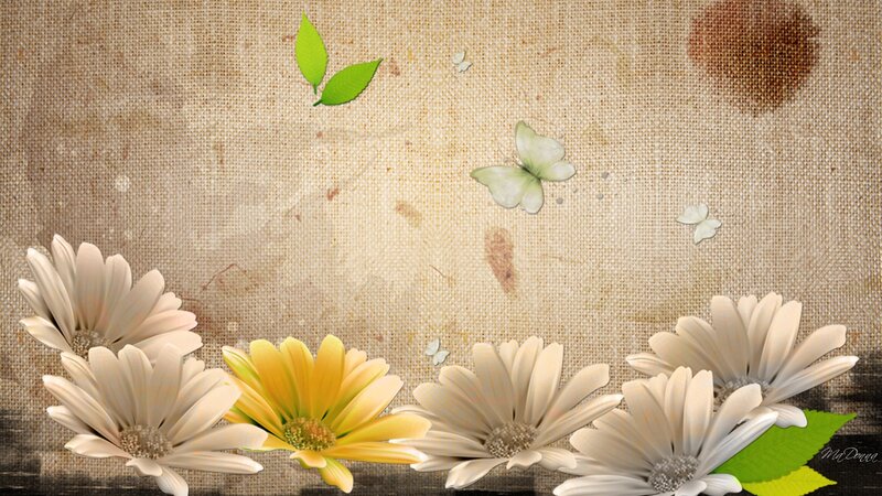 Daisies and Butterflies — Beige