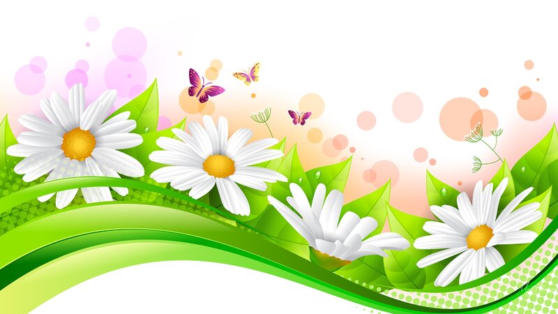 Daisies and Butterflies — Green, Cheerful, Spring