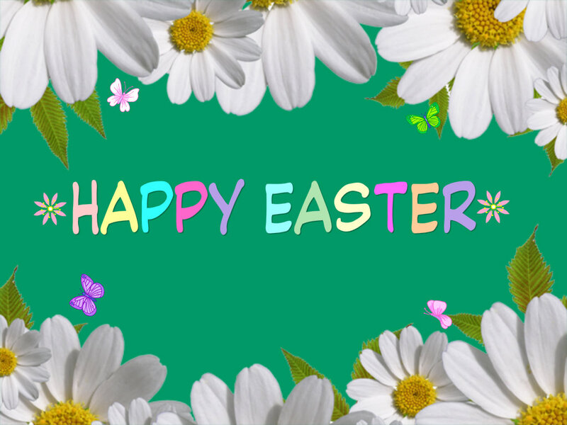 Daisies and Butterflies — Green, Cheerful