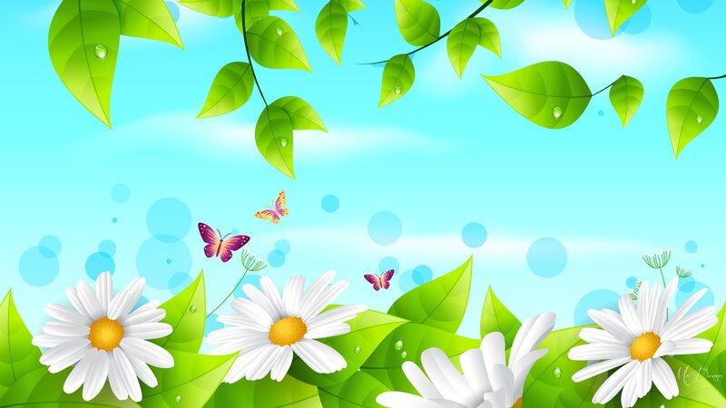 Daisies and Butterflies — Green, Serene