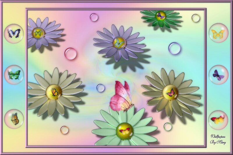 Daisies and Butterflies — Purple