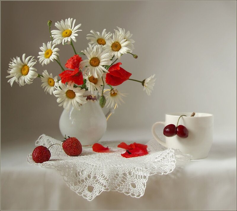 Daisies and Cherries — White