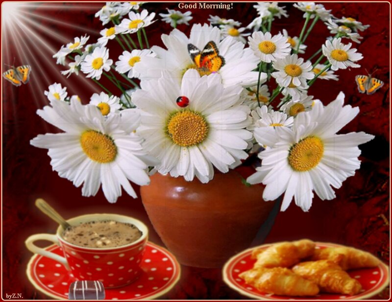 Daisies and Coffee