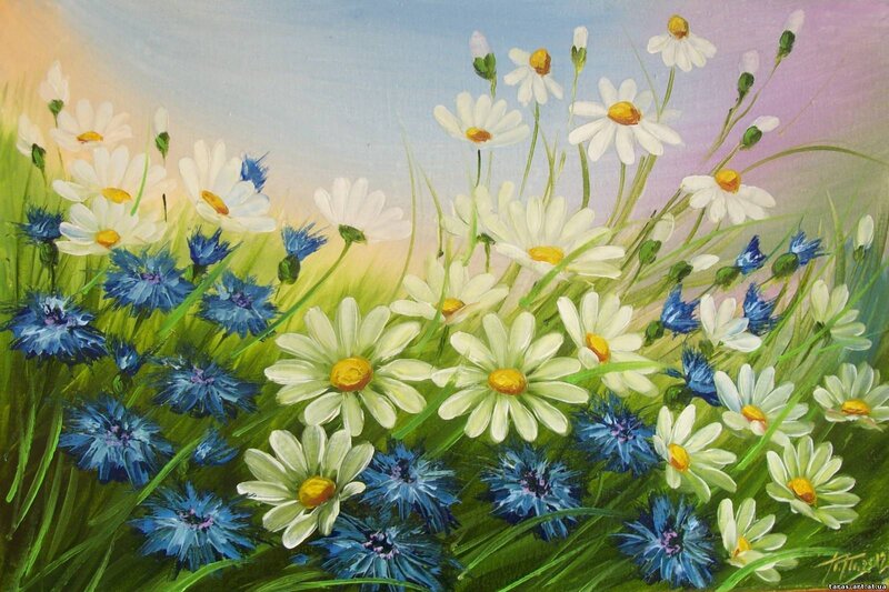 Daisies and Cornflowers — Green