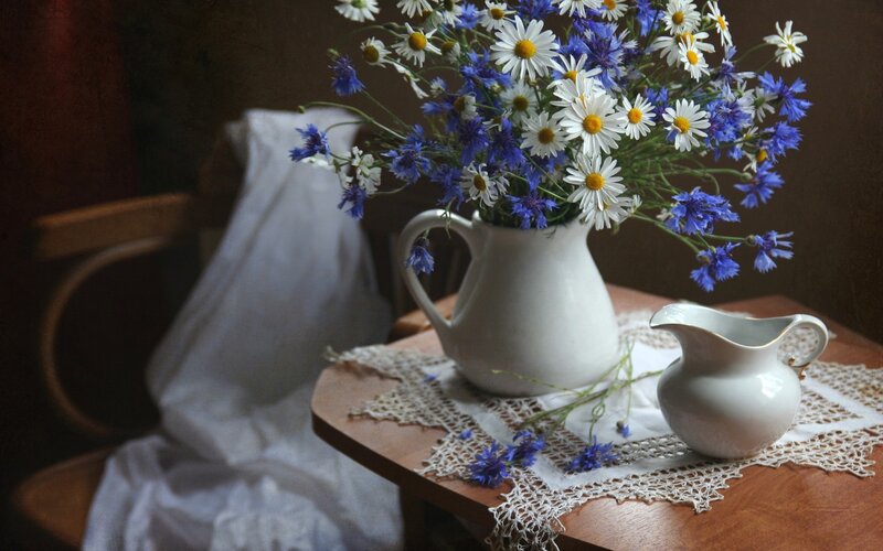 Daisies and Cornflowers in Pitcher