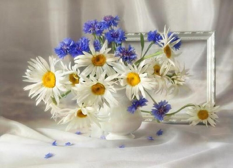 Daisies and Cornflowers — White
