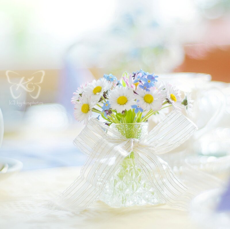 Daisies and Forget-me-nots