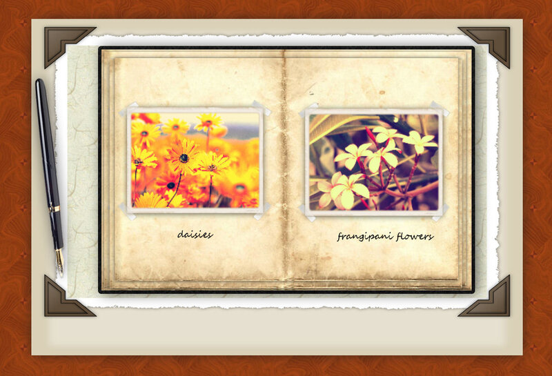 Daisies and Frangipani Flowers