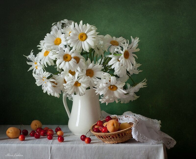 Daisies and Fruit on Table — White