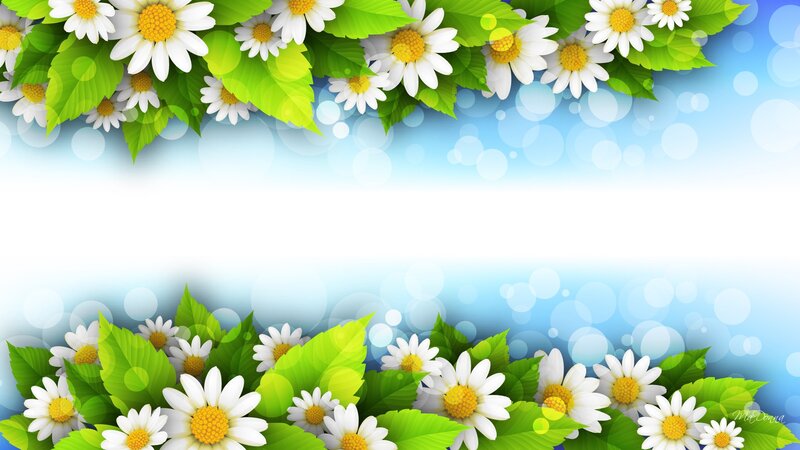 Daisies and Green Leaves