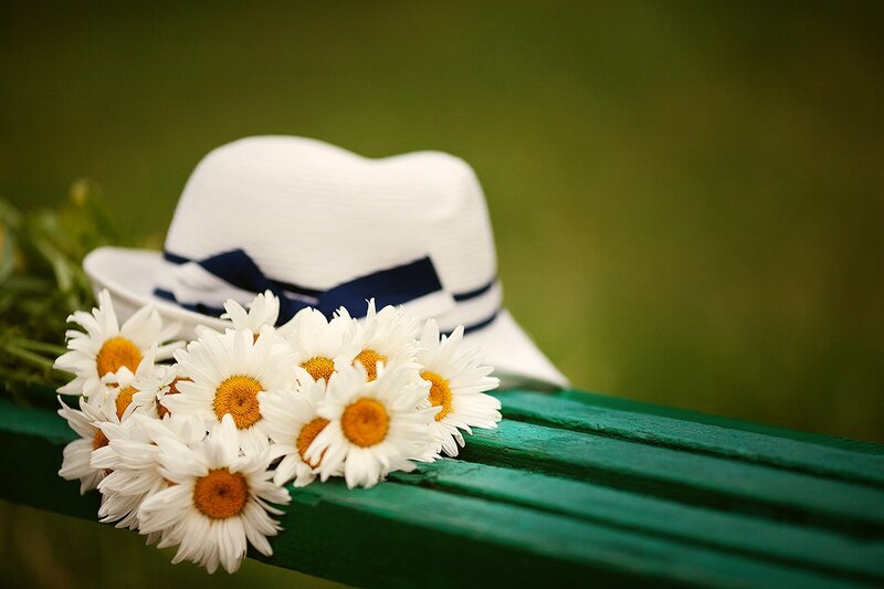 Daisies and Hat on Bench