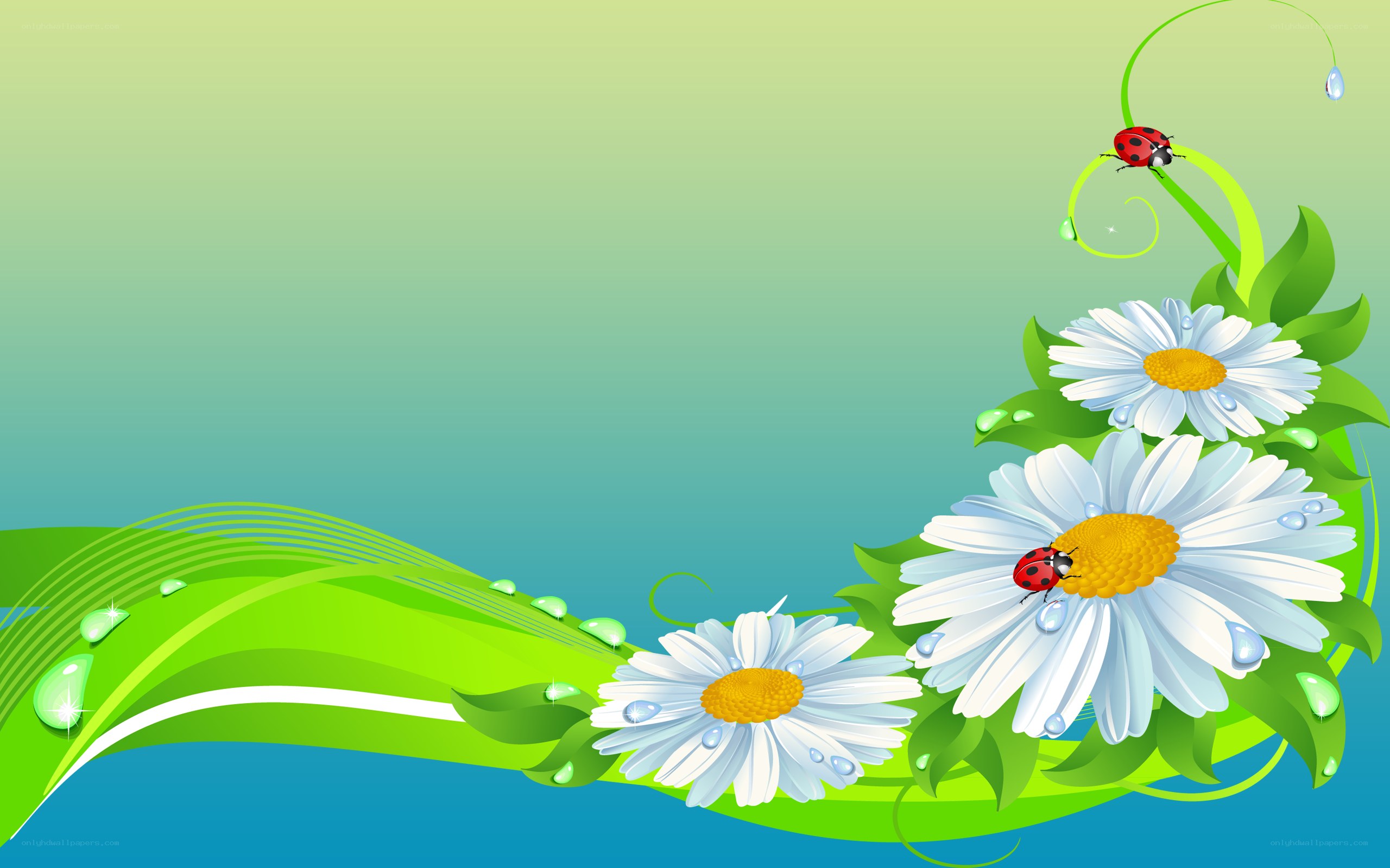daisies and ladybugs on green