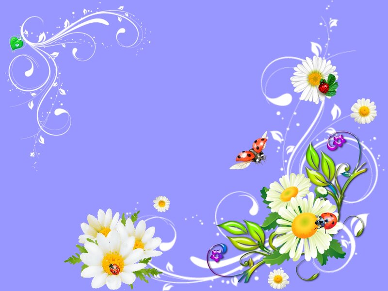 Daisies and Ladybugs — Purple