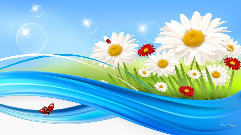 Daisies and Ladybugs