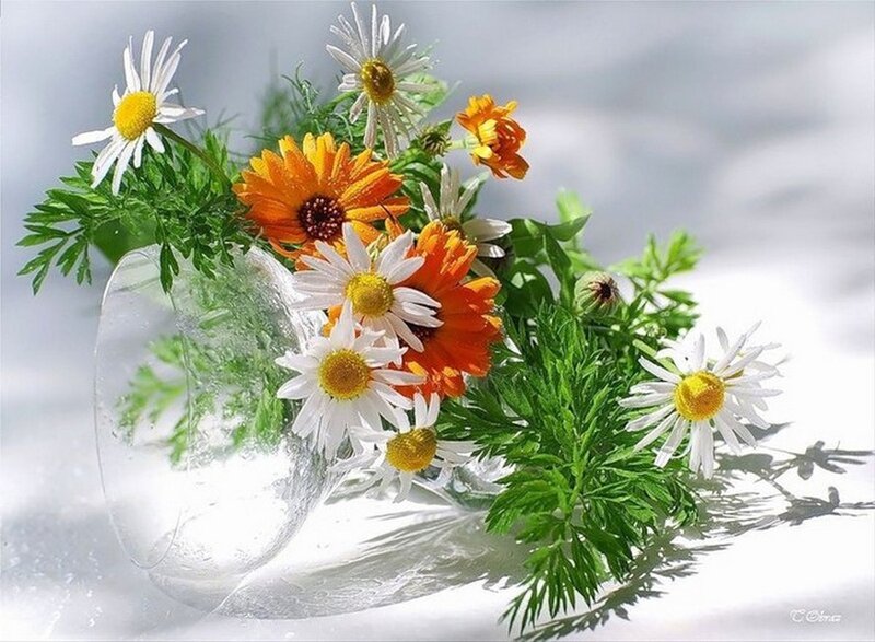 Daisies and Marigolds in Vase