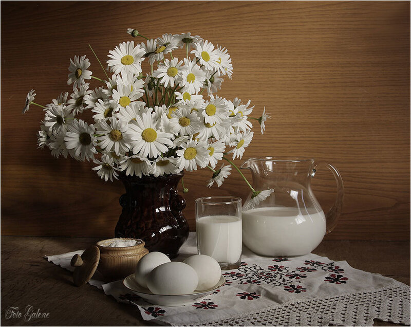 Daisies and Milk Jug