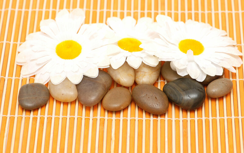 Daisies and Pebbles