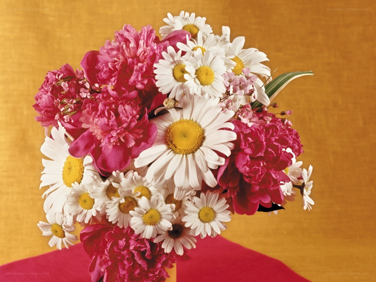 daisies and peonies bouquet