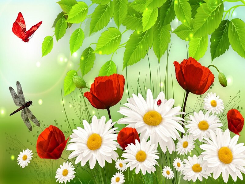 Daisies and Poppies in Field — Green