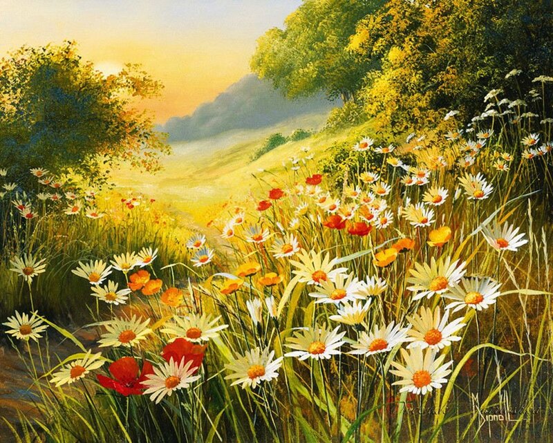 Daisies and Poppies in Field — Yellow